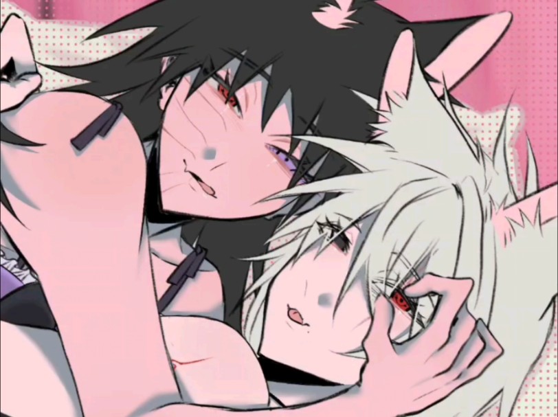 带卡/御案/猫猫们