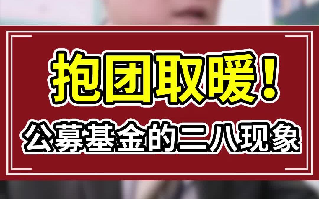 机构抱团取暖,公募基金的二八现象...哔哩哔哩bilibili