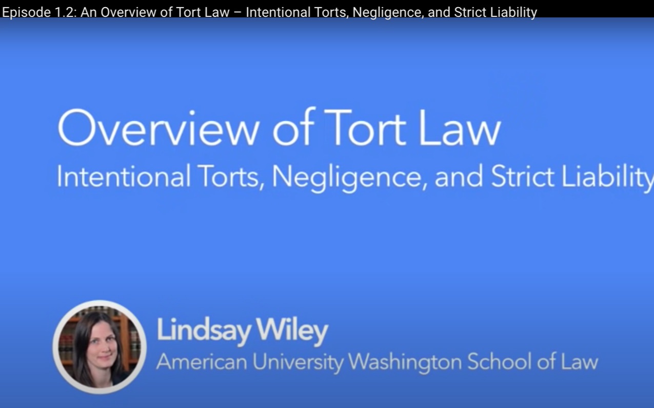 侵权法Episode 1.2 An Overview of Tort Law – Intentional Torts, Negligence, and St哔哩哔哩bilibili