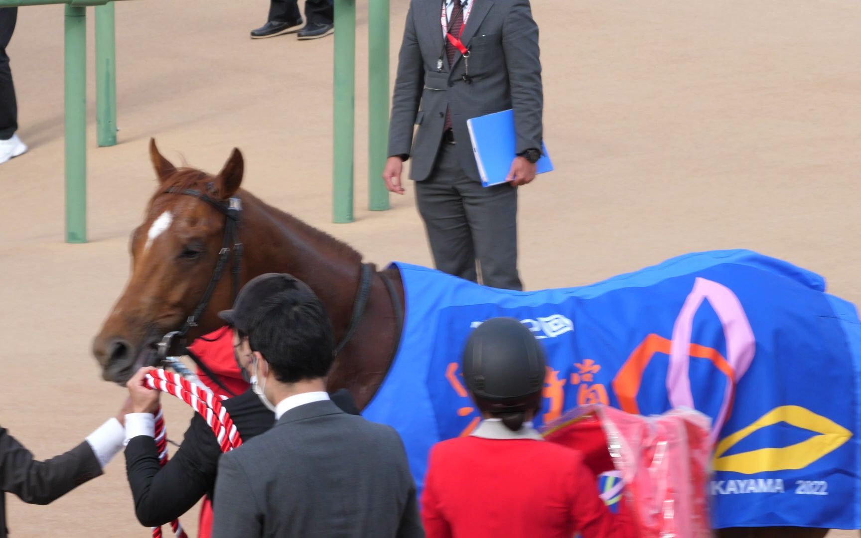 皐月赏赛后称重室前冠军栗毛地上绘