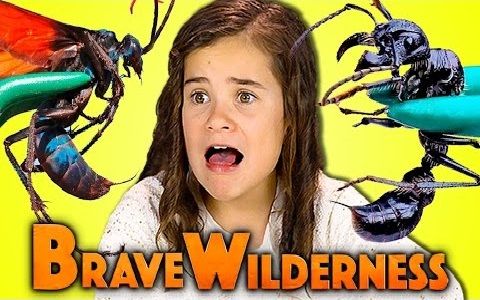 kidsreact美国小屁孩观看狼叔coyotepeterson的节目荒野探险