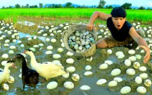 Скачать видео: 荒野美食，油炸土豆片，一个字真香