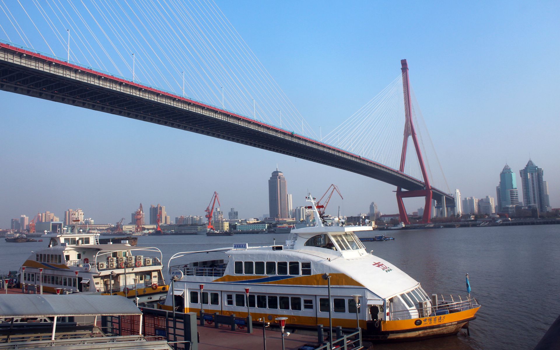 上海杨浦大桥宁国路轮渡
