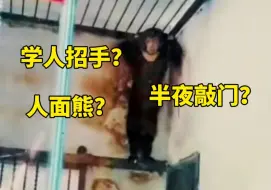 Tải video: 学人招手，半夜敲门，喜欢吃人？熊真的这么恐怖吗？【御灵苑 辟邪显正】