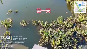 【2025.1.1-1.7合集】浙江省台州市温岭市保河