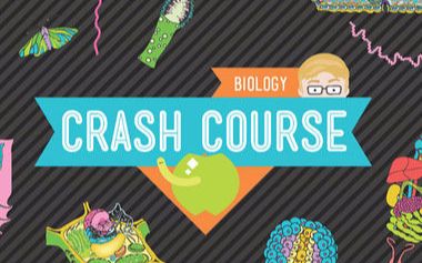 [图][熟肉]  十分钟生物学  Crash Course Biology