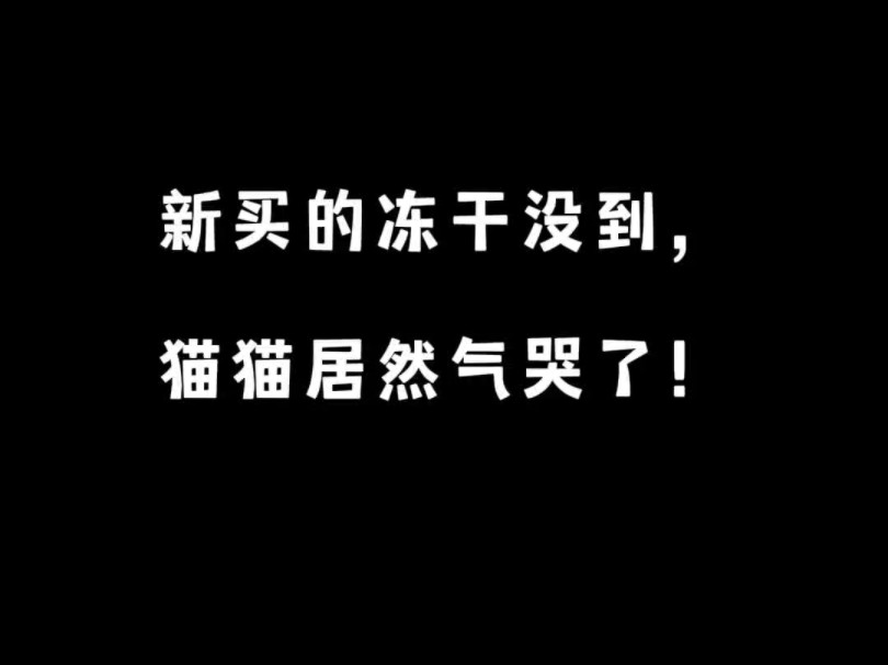 【桃桃是话唠】最新视频已上线,快来围观!哔哩哔哩bilibili