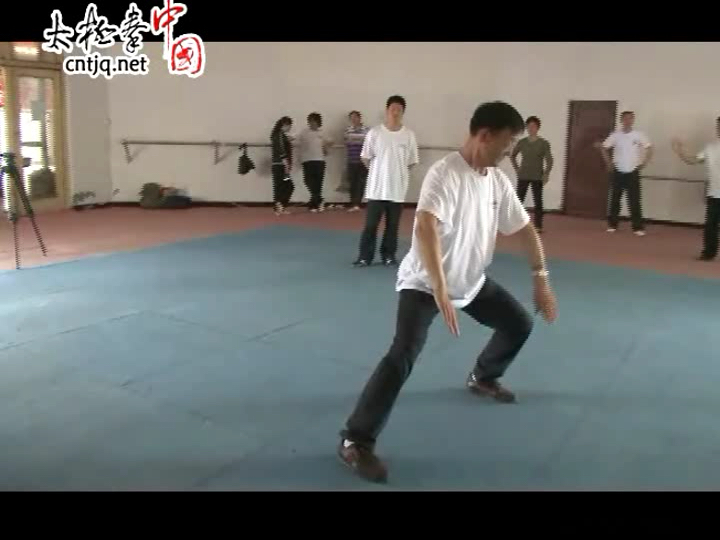 陈伯祥 2012 陈氏小架太极拳一层培训录像 5