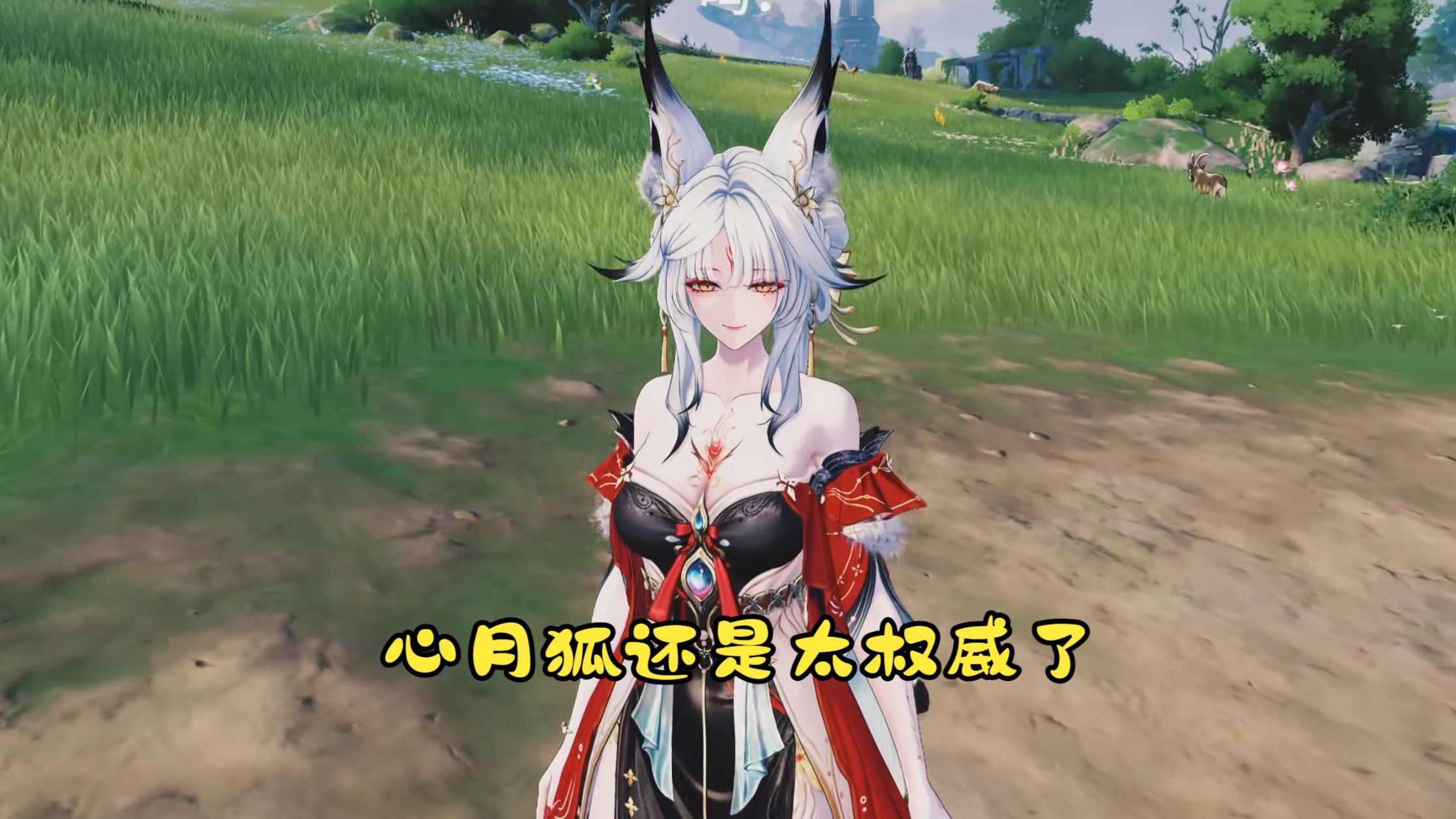 早说狐狸这么美我就不纠结了