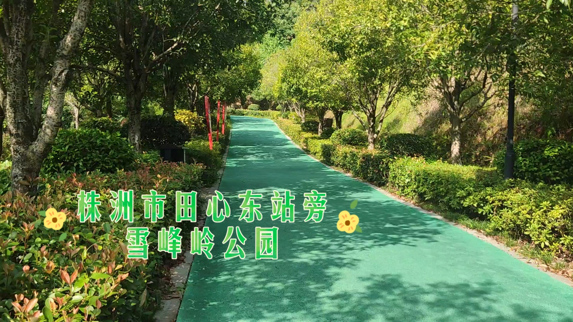 [游园]雪峰岭公园,田心东站东侧的内有乾坤,超能藏