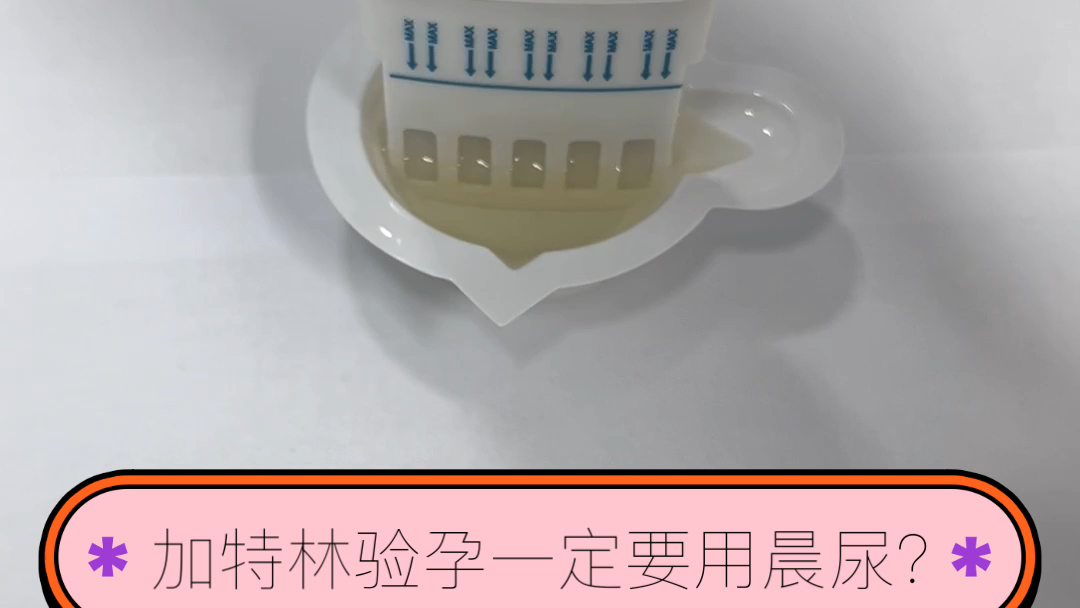 加特林验孕棒验孕一定要用晨尿吗?哔哩哔哩bilibili