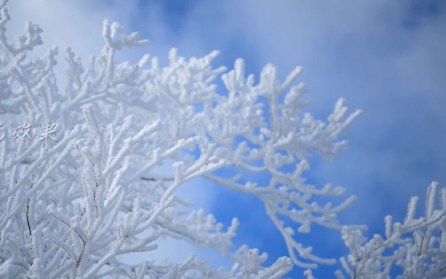 v14 2k分辨率唯美小清新雪山雪景冬季飘雪景色视频素材 粒子视频 晚会表演哔哩哔哩bilibili