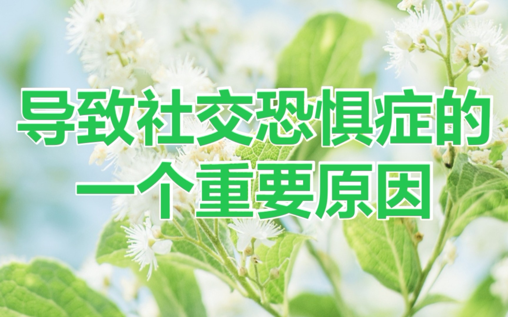 4【疗愈系列】导致社恐的一个重要原因哔哩哔哩bilibili