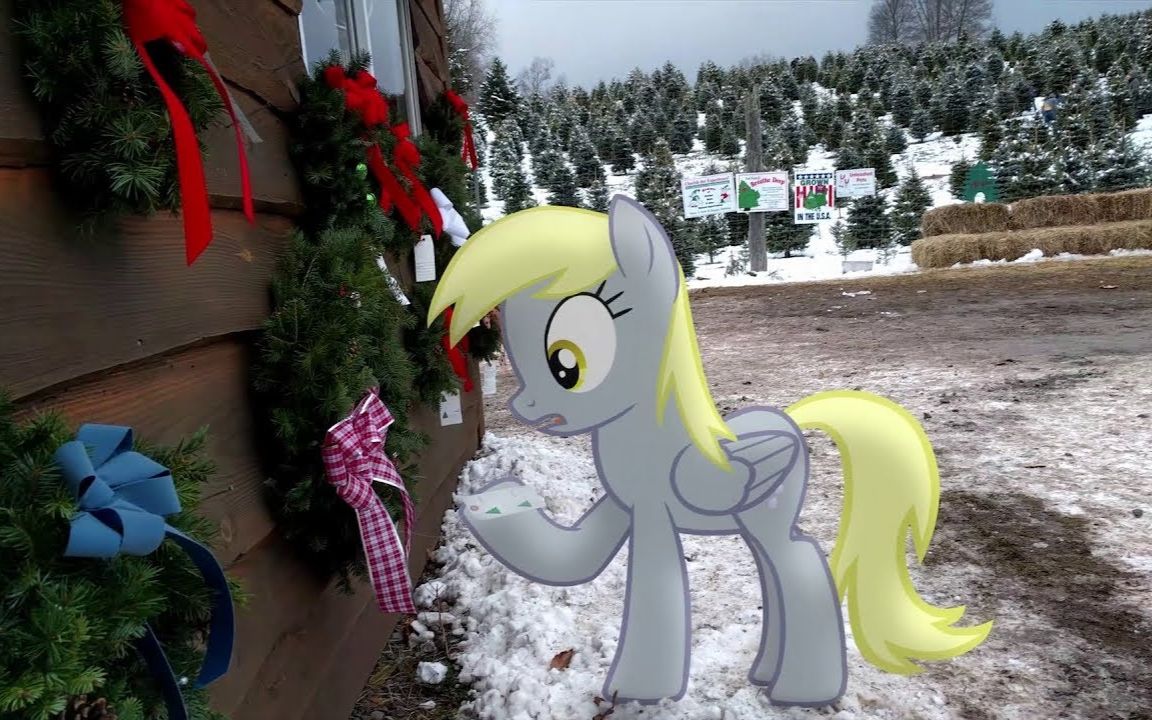 [mlp[现实小马 跟小呆一起过圣诞 中字_哔哩哔哩)つロ 干杯
