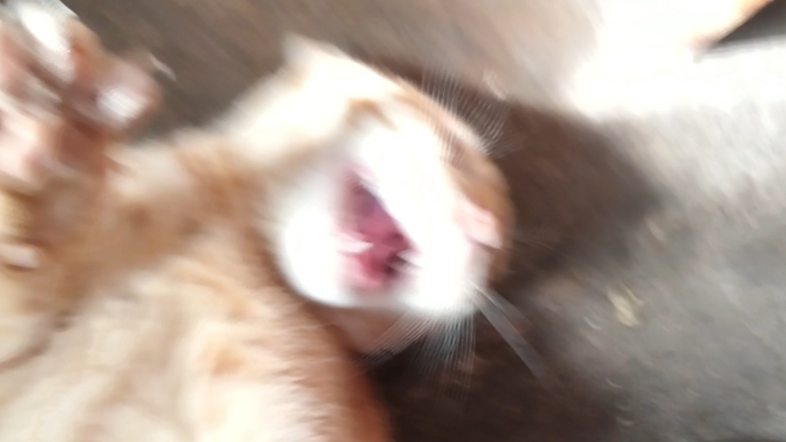 草帽小子说的道理：去酒吧看看