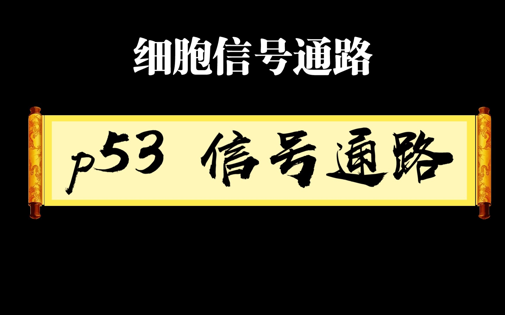 [图]细胞信号通路系列7一p53信号通路