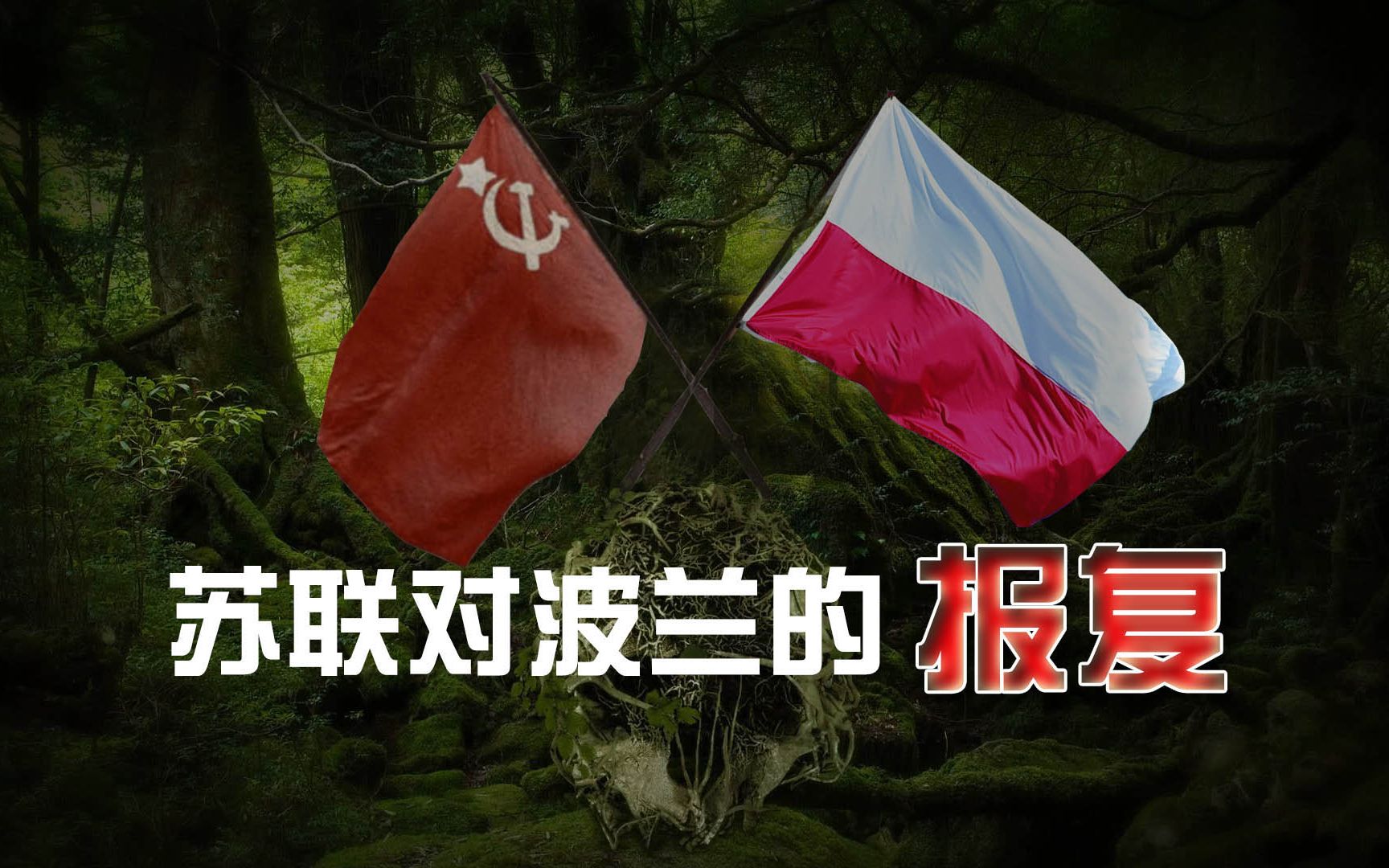 令人毛骨悚然的卡廷惨案!2万多波兰战俘遭屠杀,真凶掩盖几十年哔哩哔哩bilibili