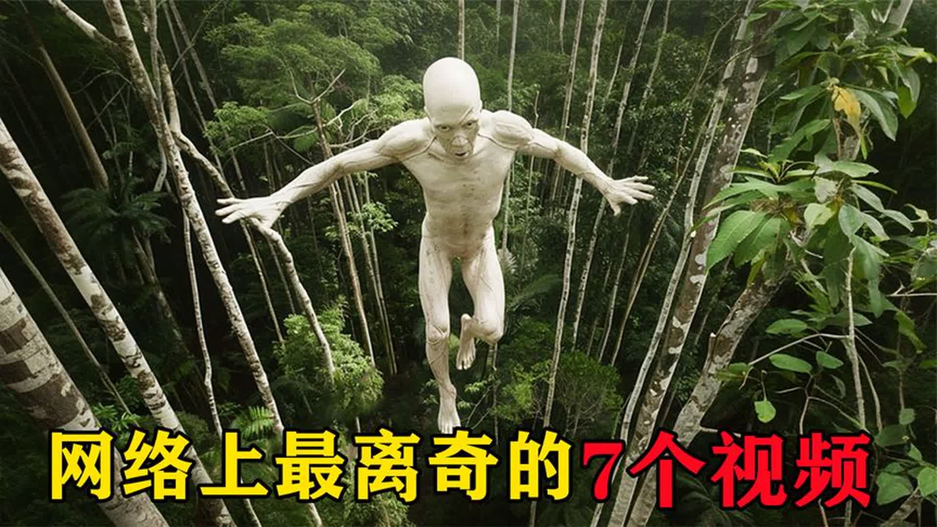 网络上最离奇的7个视频,野外拍到的不明生物,吓坏了科学家