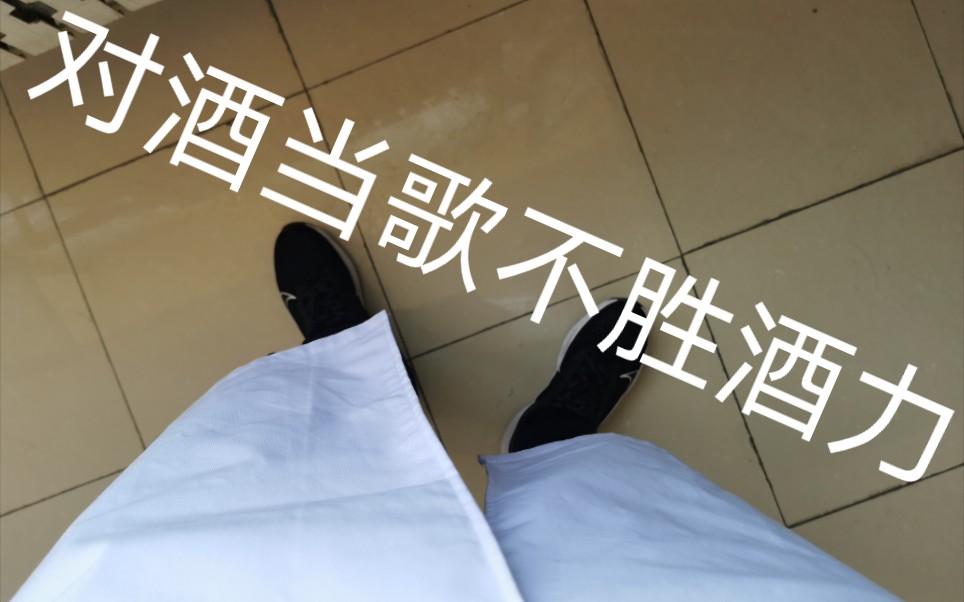 对～酒～当～歌,不胜酒力_哔哩哔哩_bilibili