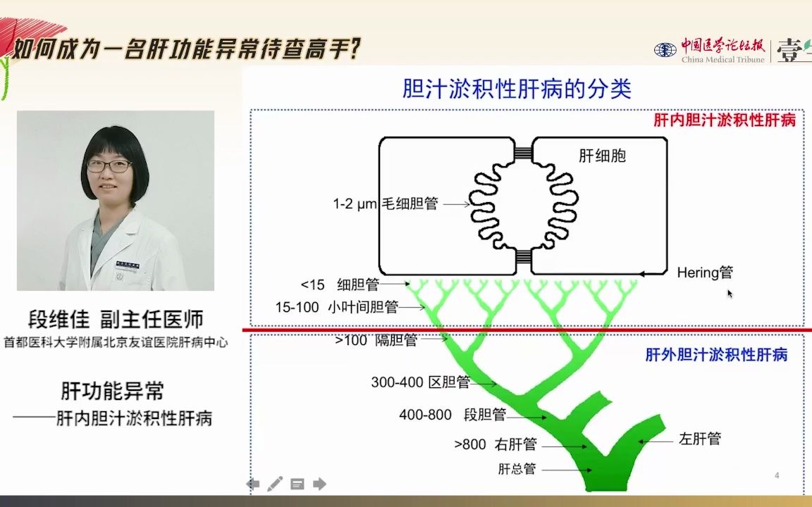 Day7肝功能异常——肝内胆汁淤积性肝病哔哩哔哩bilibili