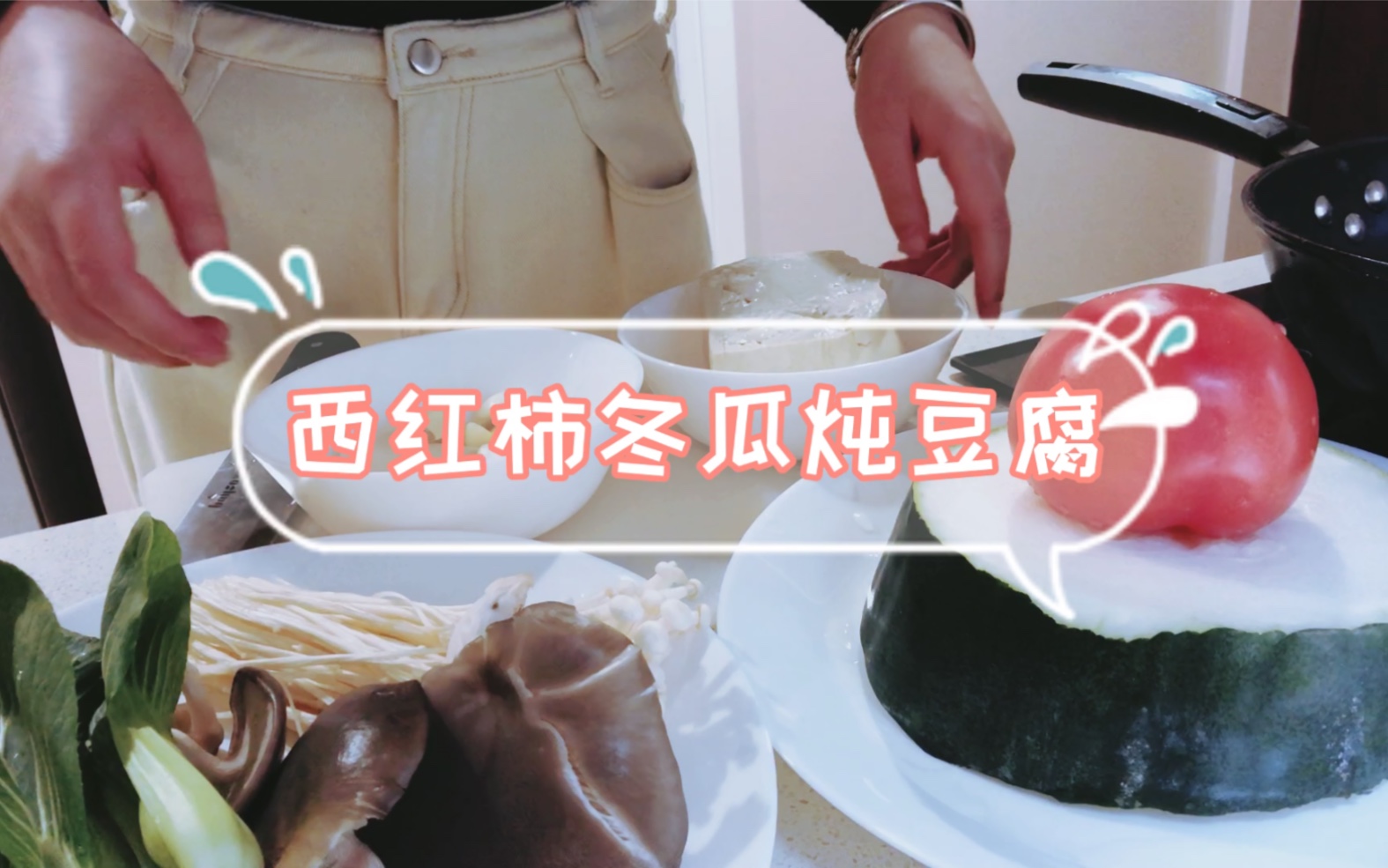 西红柿冬瓜炖豆腐哔哩哔哩bilibili