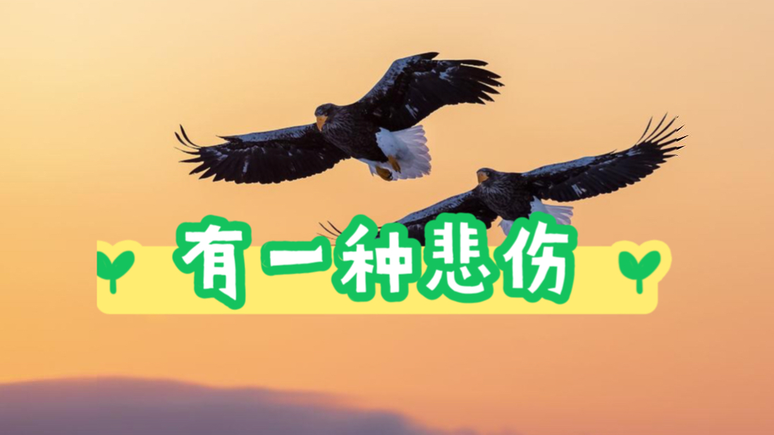 兰天洋流行演唱中心 刘天奇老师#有一种悲伤 #孙楠 #歌手2024哔哩哔哩bilibili