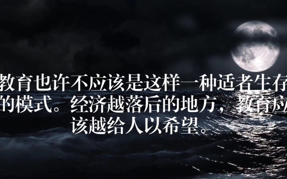 【作文素材积累】哔哩哔哩bilibili