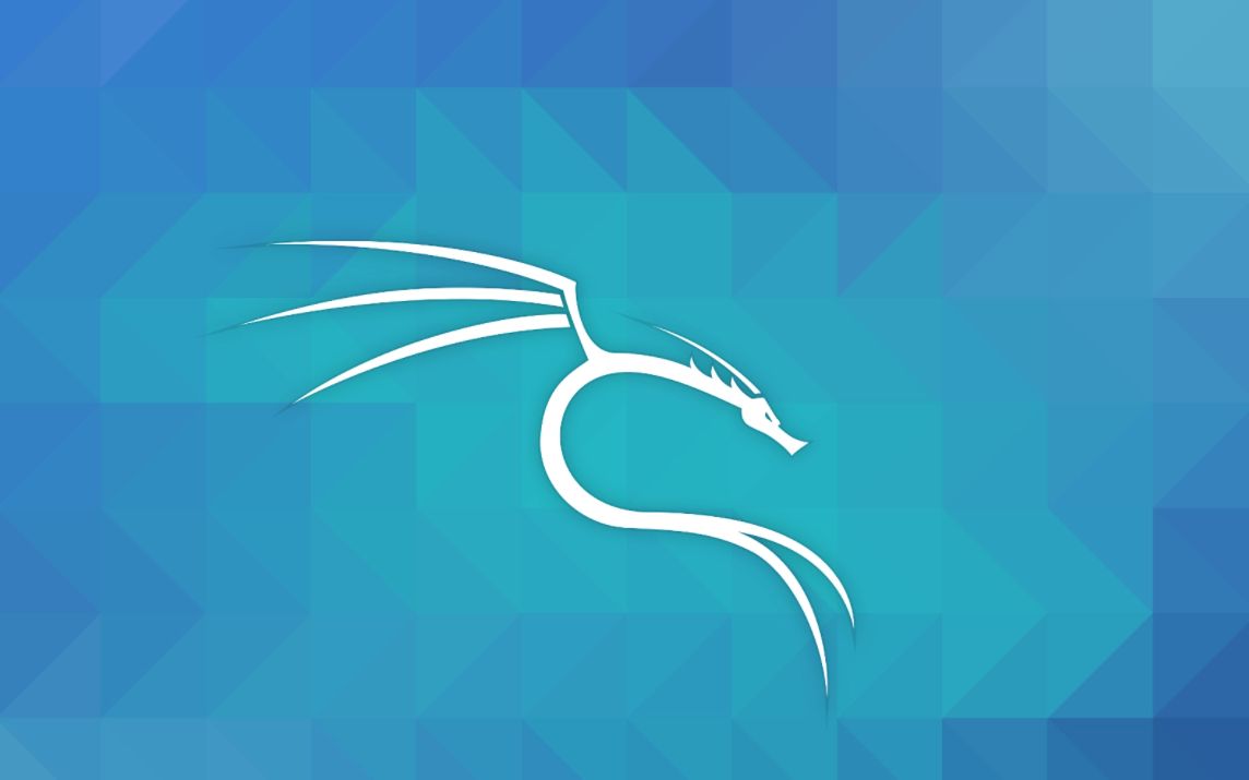 如何在任意的设备安装kali nethunter(进阶)(竖屏)