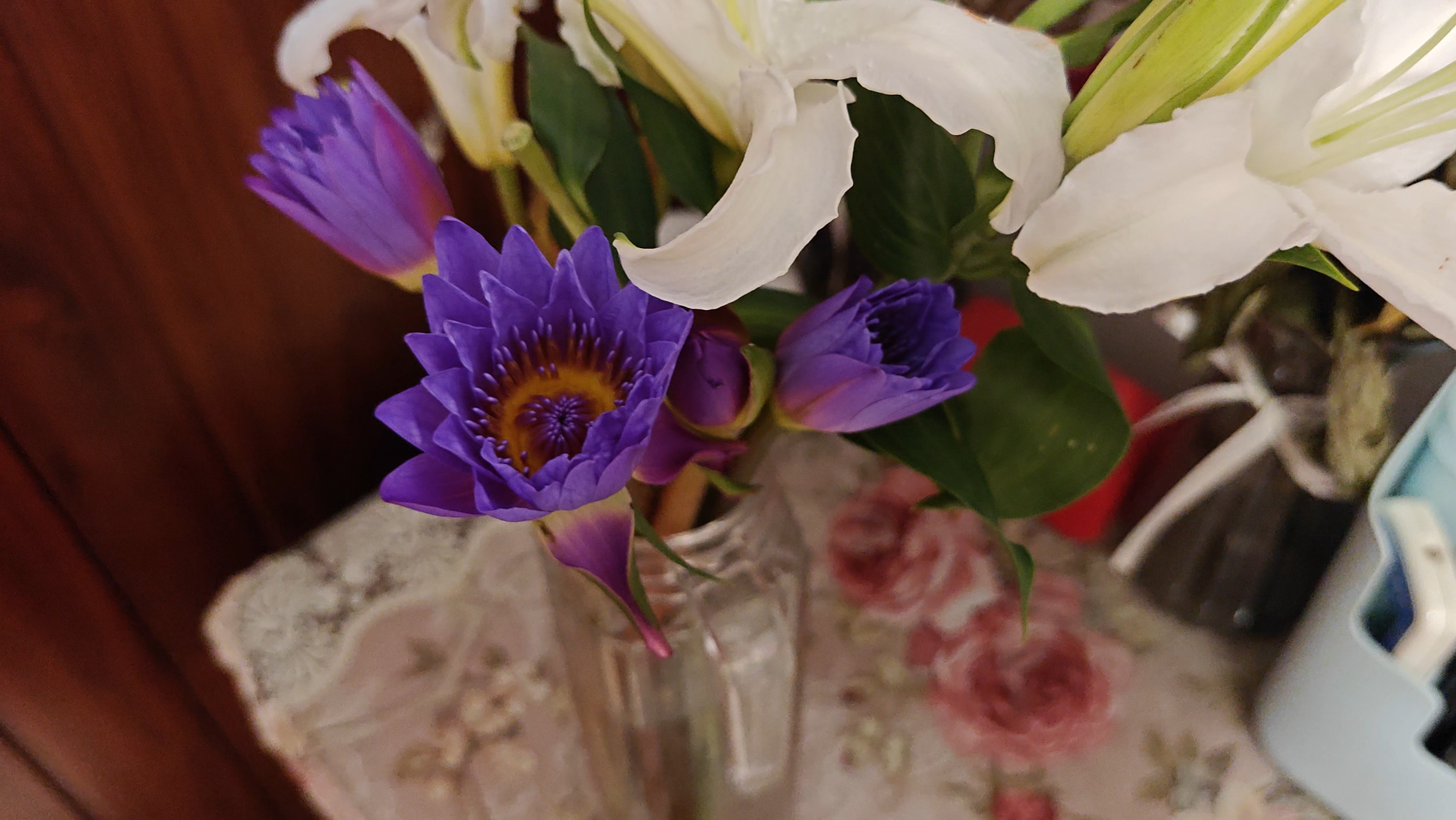 花点时间(reflower)睡莲鲜花云南昆明基地源头直发包邮水养鲜切花花束