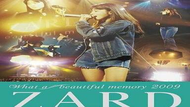 ZARD】What a beautiful memory ~forever you~2011（剪辑版）_哔
