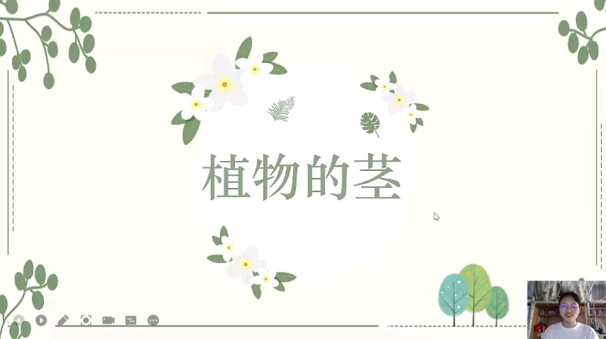 [图]第四讲 《植物的茎》