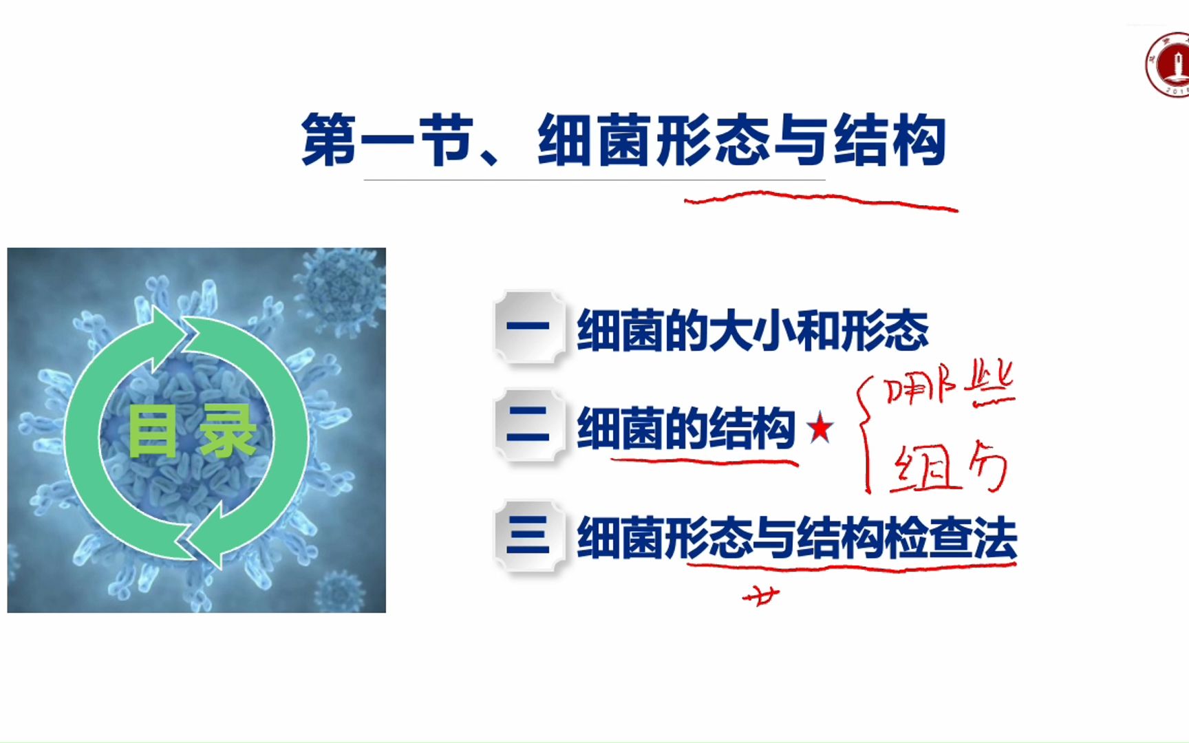 微生物学第一章 细菌的形态与结构哔哩哔哩bilibili