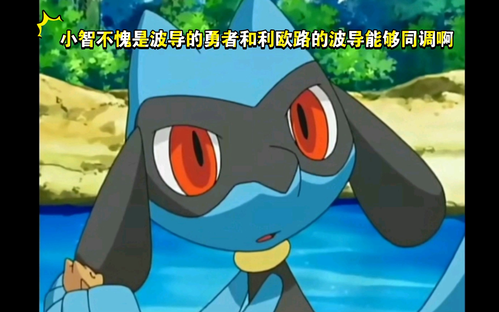 精灵宝可梦 小智不愧是波导的勇者和利欧路的波导能够同调啊