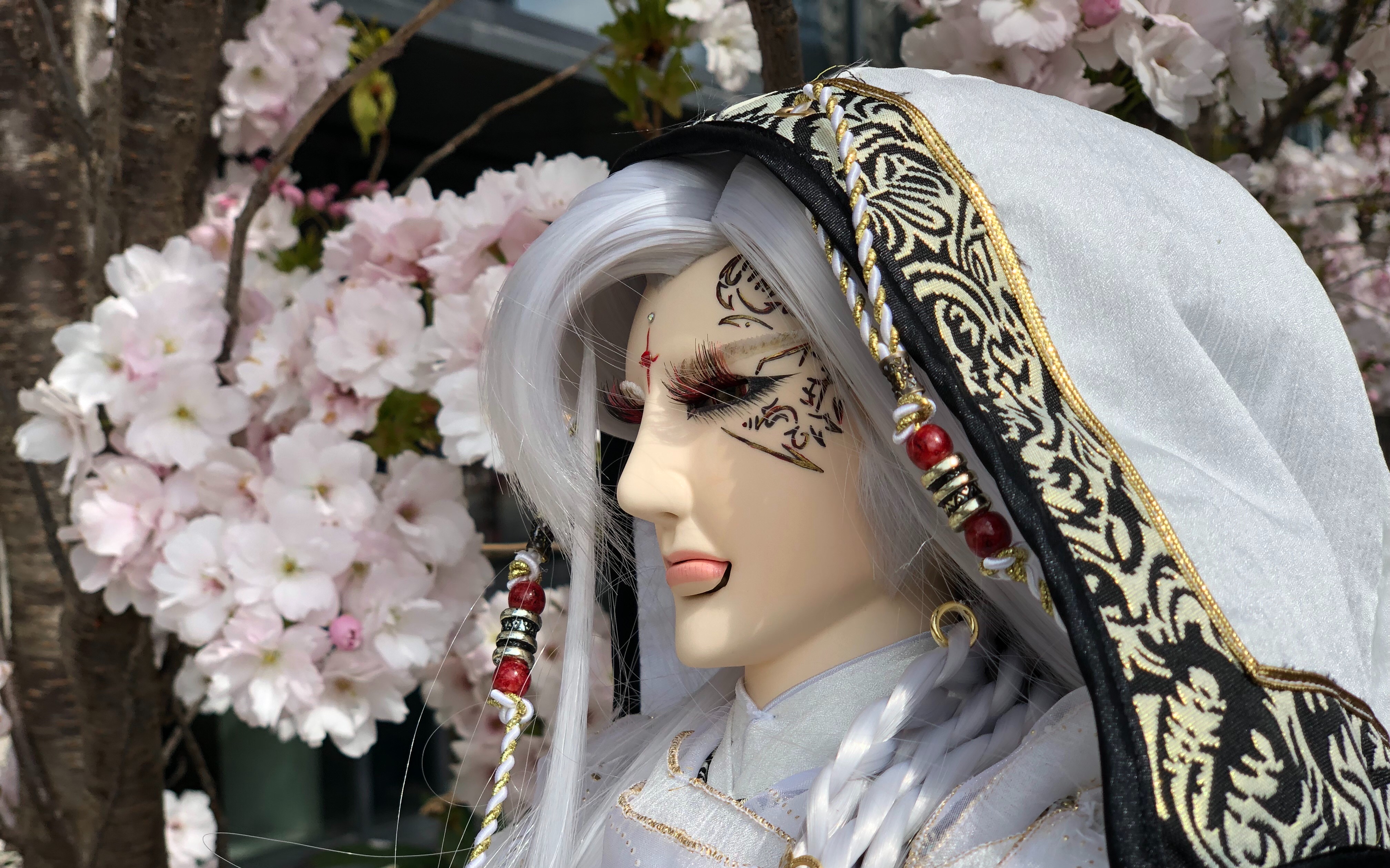 布袋戏俏如来大偶开箱桐叶出生记录