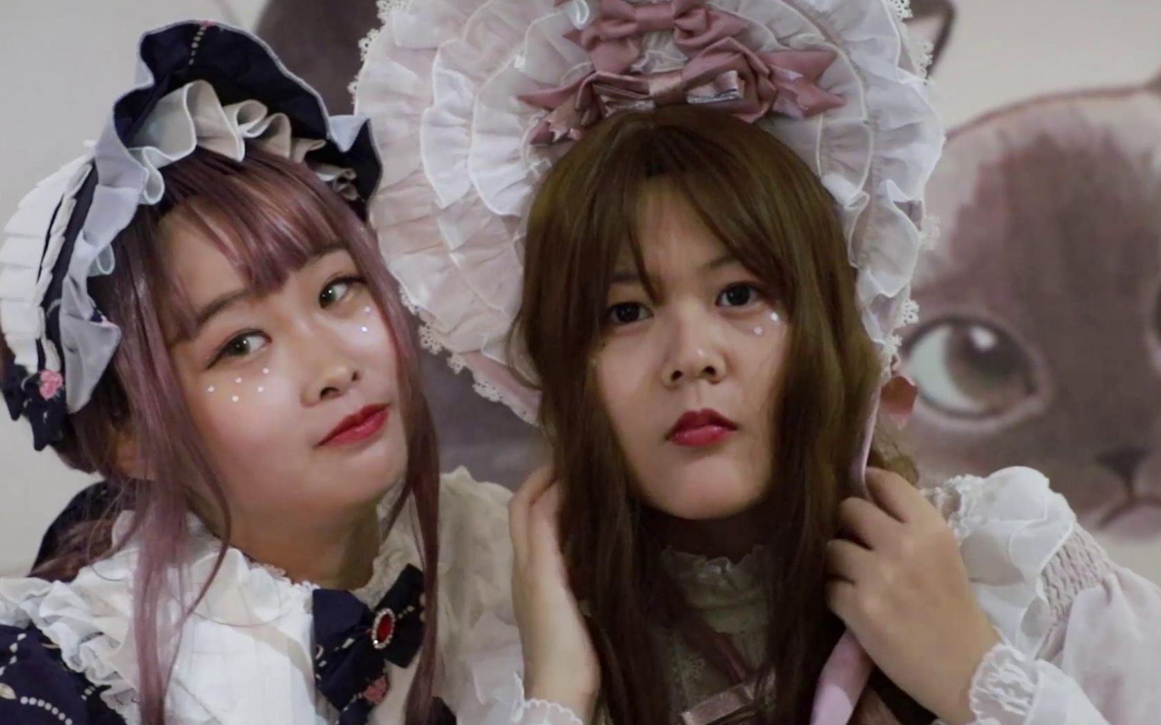 撸猫视频|沙雕姐妹穿lo裙去逛猫咖会发生什么