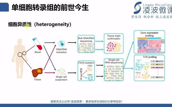 十分钟带你全方位了解单细胞测序哔哩哔哩bilibili