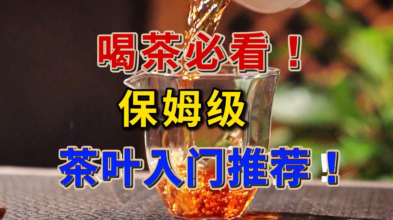 喝茶必看!保姆级茶叶入门级推荐!哔哩哔哩bilibili