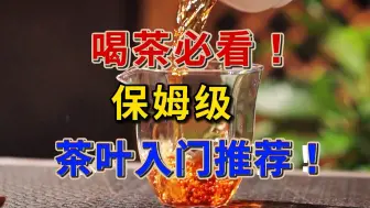 下载视频: 喝茶必看！保姆级茶叶入门级推荐！