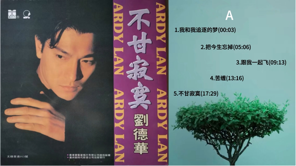 刘德华《不甘寂寞》黑胶唱片专辑内录,无损音质,黑胶模拟味的享受