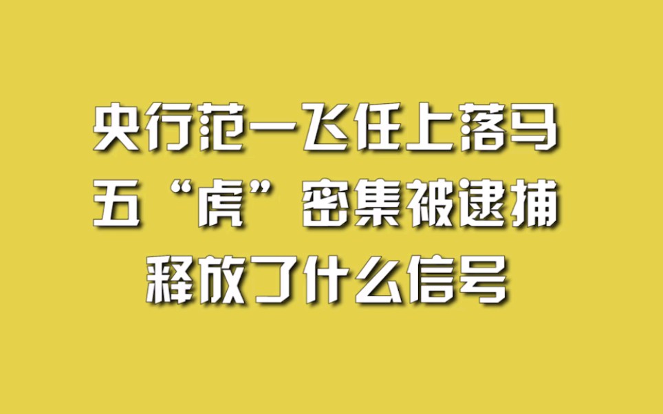 央行范一飞任上落马,五“虎”密集被逮捕,释放了什么信号?哔哩哔哩bilibili