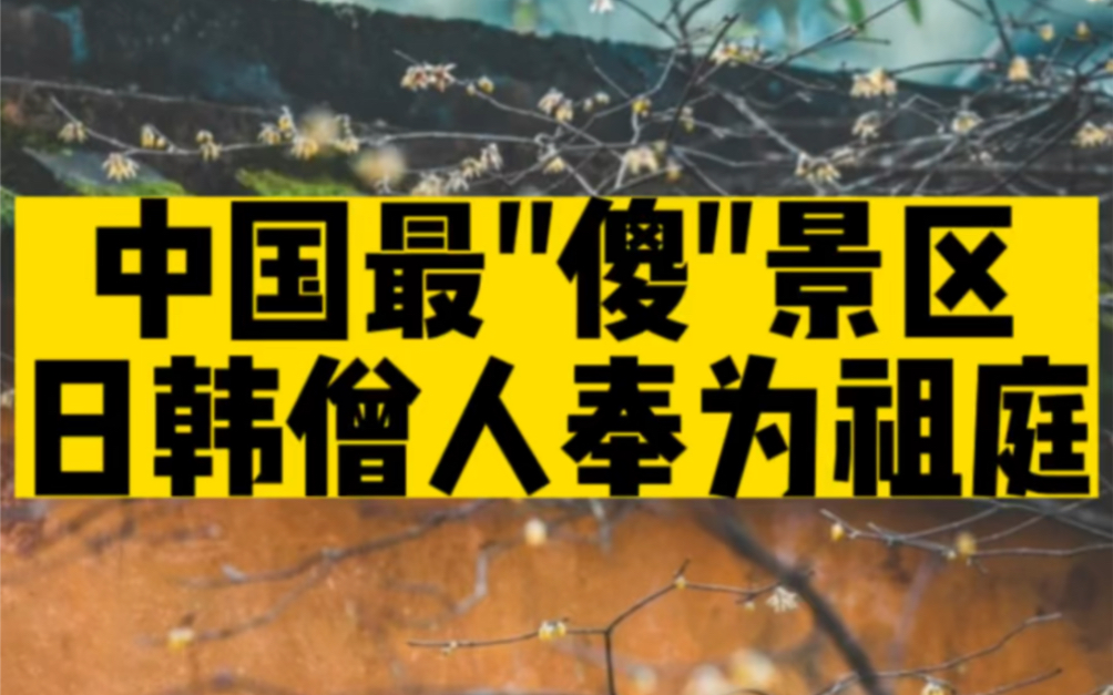 [图]贵为5A却门票免费，2元能吃饱饭，日本和韩国僧人奉为祖庭的圣地！