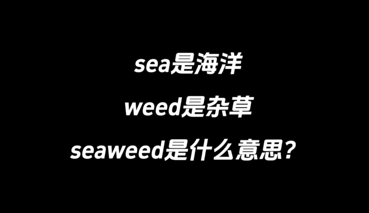 sea是海洋,weed是杂草,seaweed是什么意思?哔哩哔哩bilibili