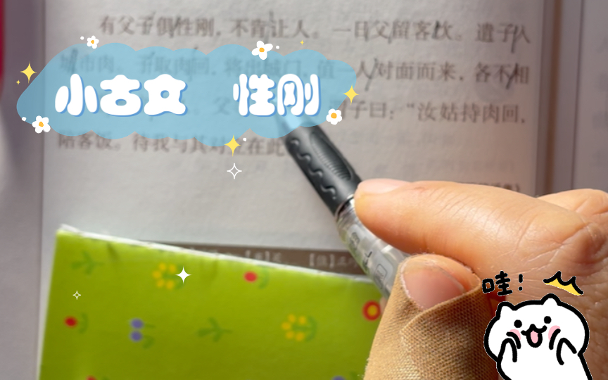 小古文 性刚哔哩哔哩bilibili