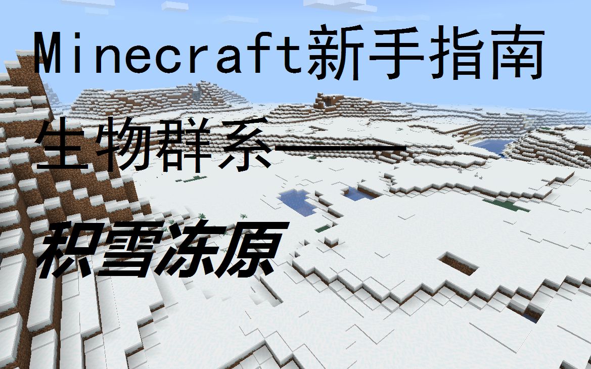 [图]【Minecraft新手指南】积雪冻原