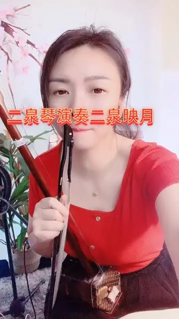 二泉琴演奏二泉映月万其兴老红木_哔哩哔哩_bilibili