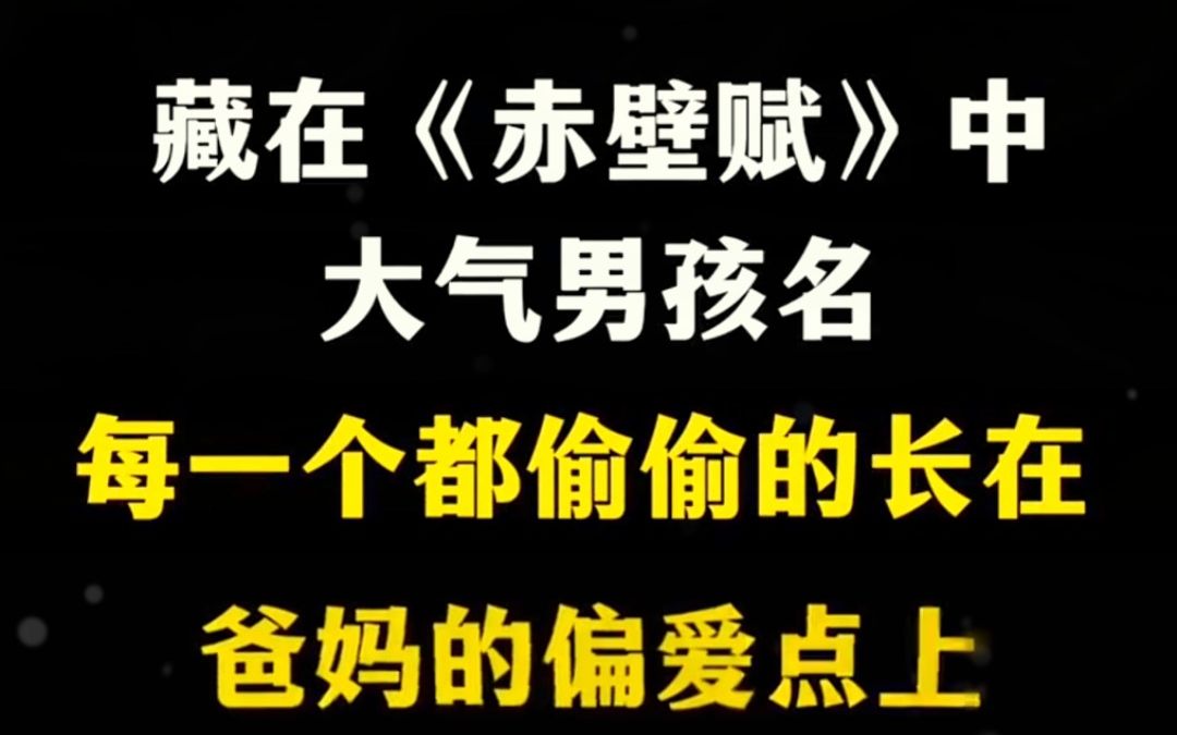 生了男宝宝,就用《赤壁赋》来取名字!哔哩哔哩bilibili