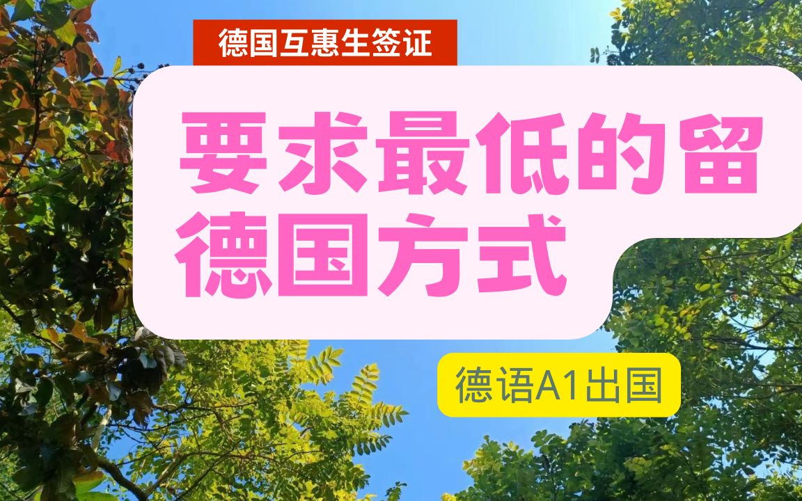 最简单,要求最低,最低费用的留德方式/德国互惠生/Aupair(一年签证)哔哩哔哩bilibili