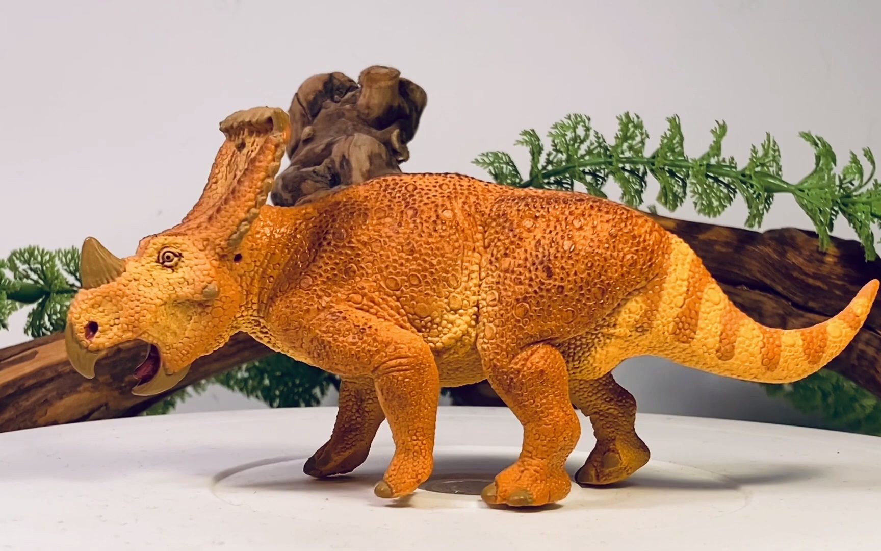 转载safariltd2012华丽角龙评测