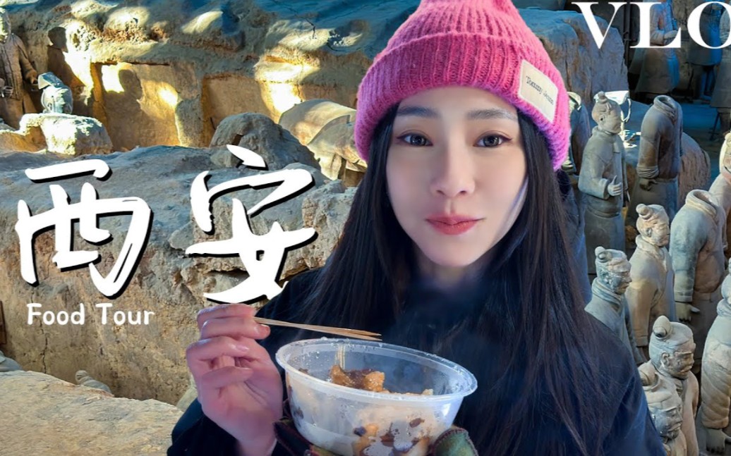 【台湾美女的西安美食之旅 Ep.1】穿越两千年:秦始皇兵马俑|回民街:蟹黄汤包、肉夹馍、泡馍|在地人推荐:洒金桥美食街|NinaWen Vlog哔哩哔哩bilibili