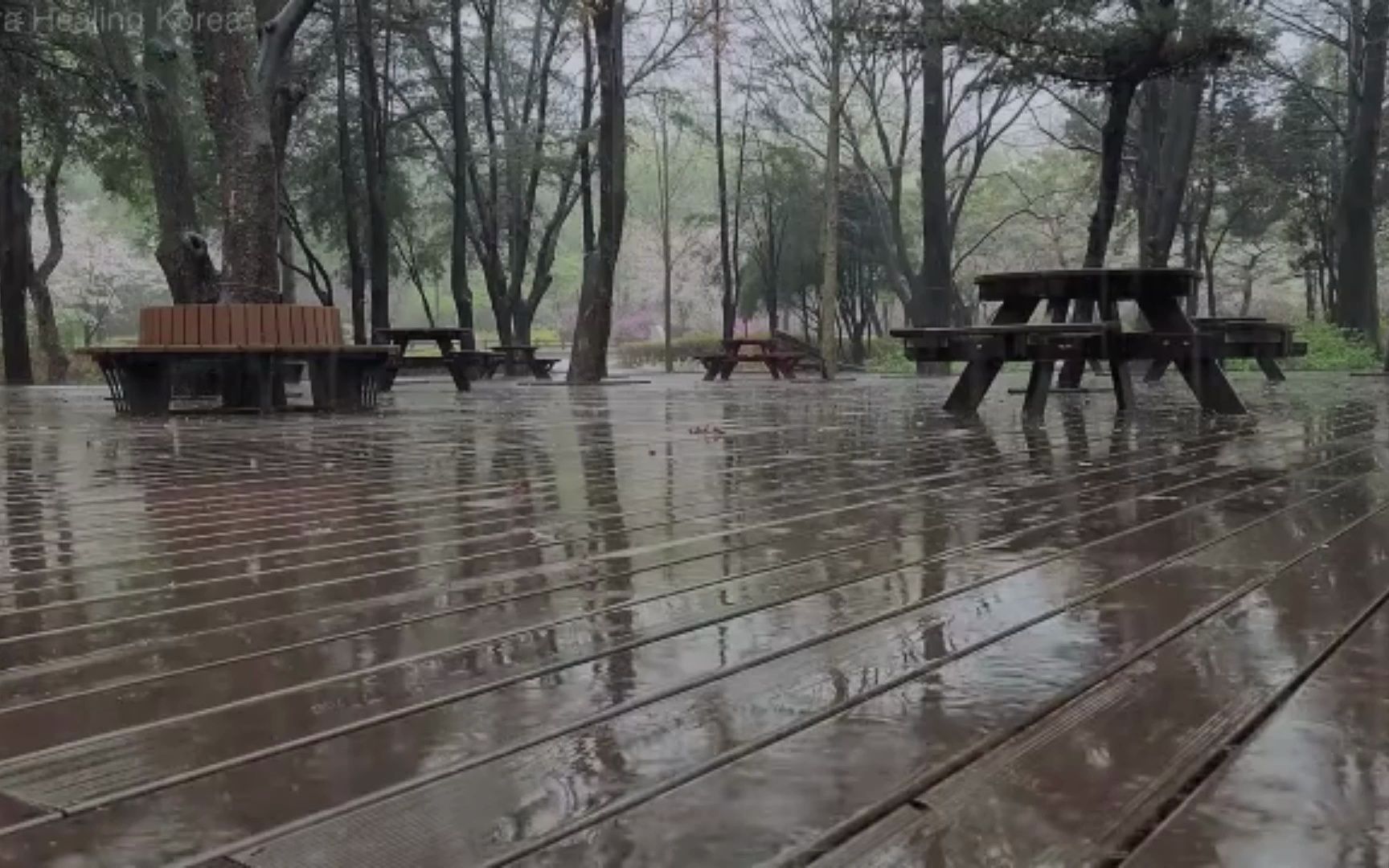 [图]助眠雨声，公园里的栈道上细雨淅淅沥沥